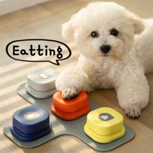 Pets Collection