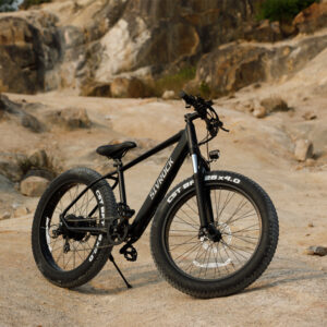 Electric bikes